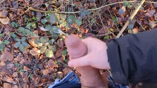Risky handjob on a busy hiking trail - we almost got caught - 1 image