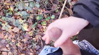 Risky handjob on a busy hiking trail - we almost got caught - 11 image