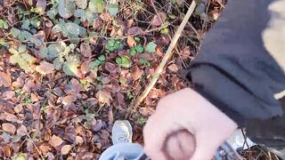 Risky handjob on a busy hiking trail - we almost got caught - 2 image
