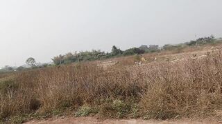 Jungle romantic close up missionary roughly hard Fuck - 2 image