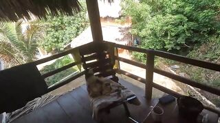 Stop Doing What You're Doing - I Wanna Suck Your Cock - 15 image