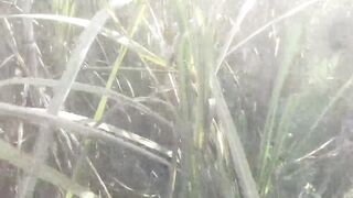Deshi bhabhi outdoor field anal scene in hindi audio - 3 image