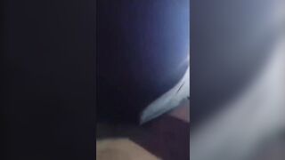 Indian jungle compilation - 10 image