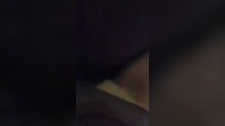 Indian jungle compilation - 11 image
