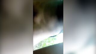 Indian jungle compilation - 5 image