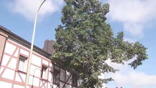 German BBW - outdoor sex - 1 image