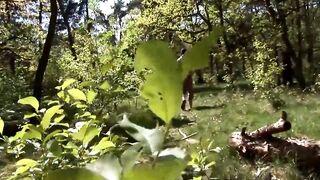 Cute fuck of couple in the nature - 1 image