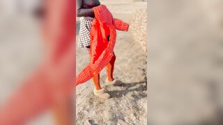 Walking in the Park, on the Ice, Undressing and Photo Session - 13 image