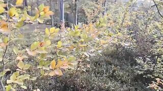 Took my stepsister outdoors, she gave me a blowjob, and I filled her mouth with cum - 2 image