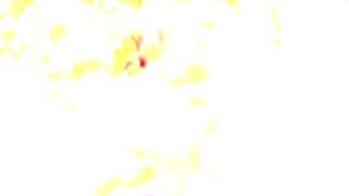 Nice and slender body brunette fucked in the garden in the sun - 1 image