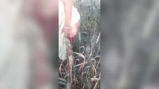 Desi beautiful sister-in-law is rubbing her ass in the wheat field Tormenting her brother-in-law for sex Rubbing her fat ass in the open field for sex