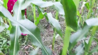 Outdoor jungle my bhabhi and me sex - 2 image