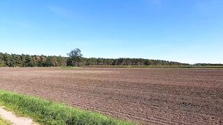 Vagina pounding in the middle of the forest - 1 image