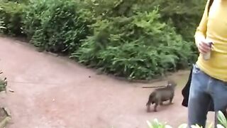 Pretty German babe rides dick in public - 4 image