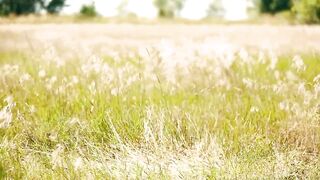 High Quality Sex Scenes - Daring! - First Summer Love 02 Part #5 - 3 image