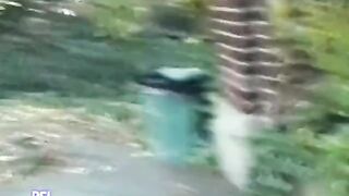 Outdoor rude humiliation - 2 image