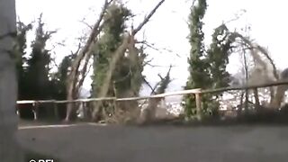 Amazons on the Hunt for Cocks and Sucking - 7 image