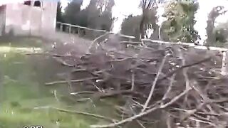 Amazons on the Hunt for Cocks and Sucking