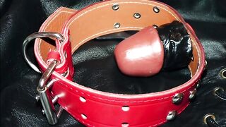 In the Depths of the Forest, a Slave Slut Is Tied, Ruthlessly Whipped & Fucked - 1 image