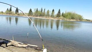 Young angler girl went to fish after school - 1 image