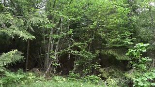 Chubbykaot in the Woods and Playng