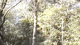 Outdoor punishing lesson in the forest