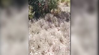 Naked Woman Tied to Tree, Story - 15 image