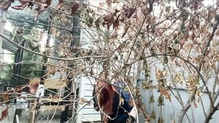 Alice Pees in the Street 3 Times