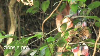 LUCKY FARMER CATCH A VERY JUICY PUSSY GIRL AND BEND HER DOWN IN THE FARM - 2 image