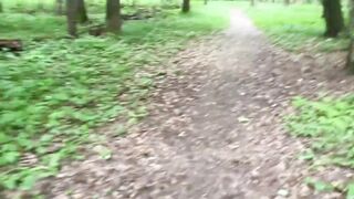 A naughty chick fucks outside: in the forest, on the meadow, and in public places - 1 image