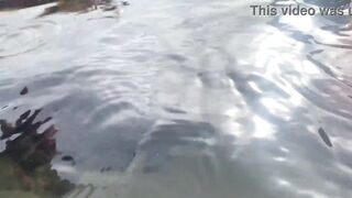 A stranger feeds my sperm to fish in front of everyone - 7 image