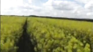 Amateur outdoor fuck