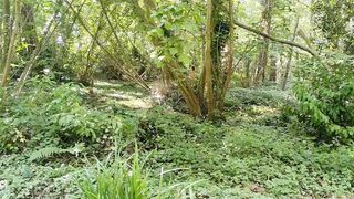 Wild Escape in the Brittany Woods - Outdoor Sex in Nature - 1 image