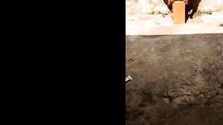 Elvie Slutty phone compilation masturbationg outdoor- Part 3