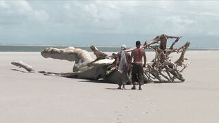 mmf outdoor threesome with hairy latina pussy