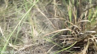 Skinny African tribe woman working outdoor