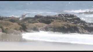 Auroira Snow Outdoor Sex Scene