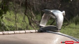 PunishTube - Hot Amber Rayne, Hannah West And Kaci Star In Outdoor Gangbang