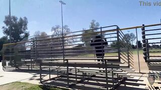 Yolanda Yamz Rome Major Curvy Brunette MILF Park Pounding Outdoor! - 5 image