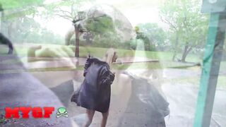 MY GF - Chloe Temple’s Free Spirit Shines As She Gets Fucked In The Rain For Wet Outdoor Sex - 5 image