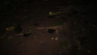 KILLERGRAM - Francesca Kitten Takes On A Dogging Mission And Delivers Outdoor Blowjobs To StrangersKILLERGRAM - Francesca Kitten Takes On A Dogging Mission And Delivers Outdoor Blowjobs To Strangers - 2 image