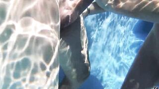 MILF Goddess Sofie Marie Creampied In Outdoor Pool Sex - 5 image