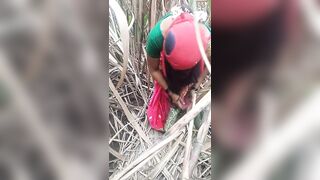 Outdoor fuck in sugarcane field to pink Saree lover - 3 image