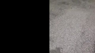 - Valentina Wild - Buttfucked at Night by two Strangers in the Parking Lot - 10 image
