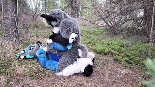 Horny furries fuck in the wild - 10 image