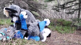 Horny furries fuck in the wild - 13 image