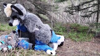 Horny furries fuck in the wild - 14 image