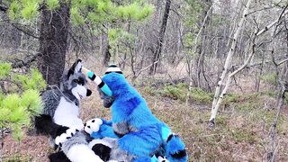 Horny furries fuck in the wild - 2 image