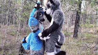 Horny furries fuck in the wild - 4 image
