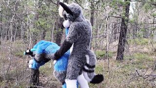 Horny furries fuck in the wild - 6 image